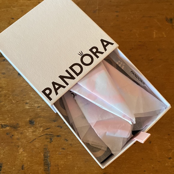 Pandora iconic Pandora Clasp Bracelet - Picture 3 of 9